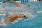 Swimming vs CGA  Wheaton College Swimming & Diving vs Coast Guard Academy. - Photo By: KEITH NORDSTROM : Wheaton, Swimming, diving